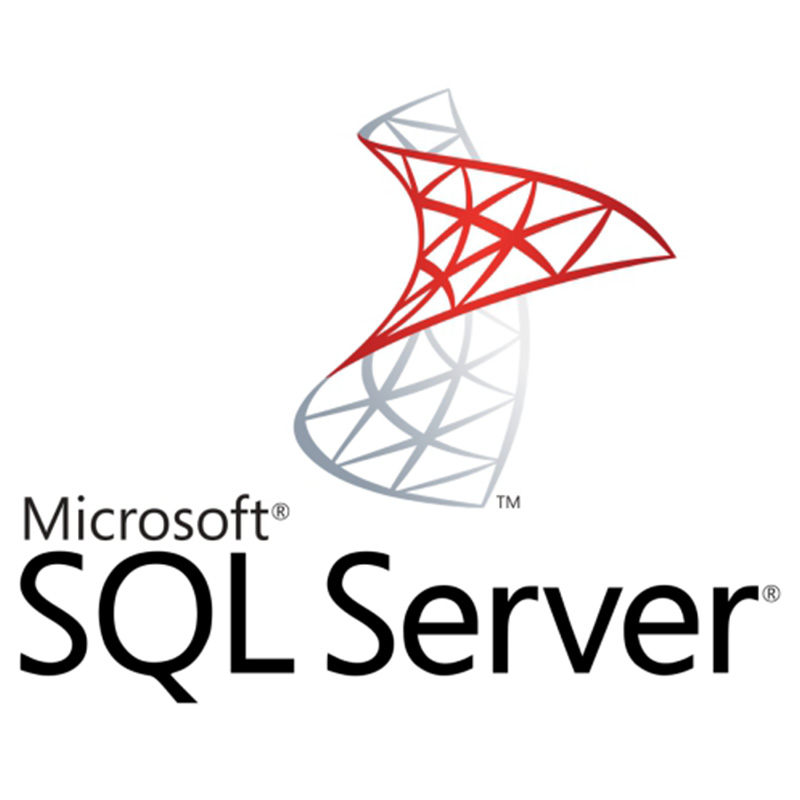 【追加購入】DG7GMGF0VNHV0002 SQL Server 2025 User CAL (企業/官公庁向けMicrosoft CSPプログラム用永続ライセンス)